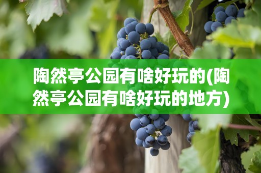 陶然亭公园有啥好玩的(陶然亭公园有啥好玩的地方)