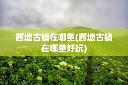 西塘古镇在哪里(西塘古镇在哪里好玩)