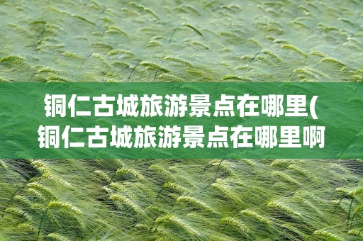 铜仁古城旅游景点在哪里(铜仁古城旅游景点在哪里啊)