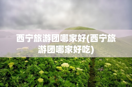 西宁旅游团哪家好(西宁旅游团哪家好吃)