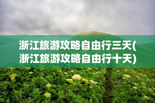 浙江旅游攻略自由行三天(浙江旅游攻略自由行十天)