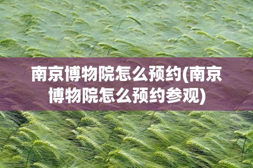 南京博物院怎么预约(南京博物院怎么预约参观)