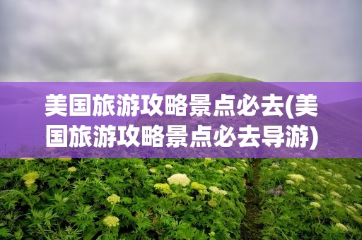 美国旅游攻略景点必去(美国旅游攻略景点必去导游)