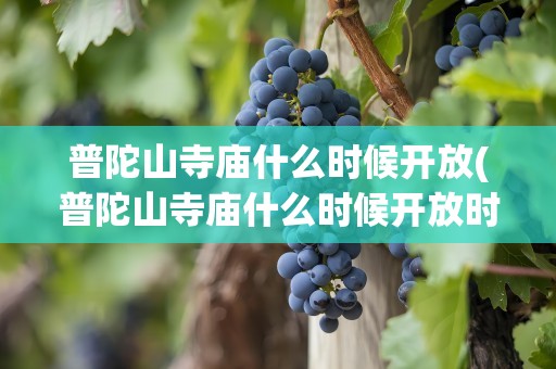 普陀山寺庙什么时候开放(普陀山寺庙什么时候开放时间)