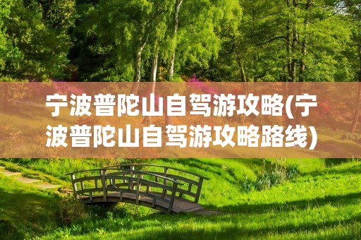 宁波普陀山自驾游攻略(宁波普陀山自驾游攻略路线)