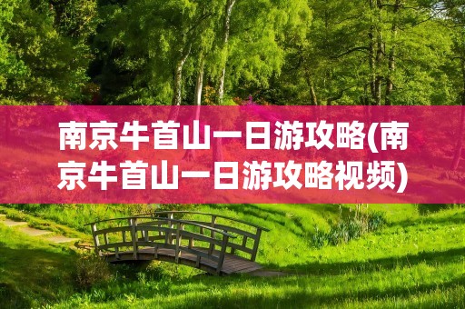 南京牛首山一日游攻略(南京牛首山一日游攻略视频)