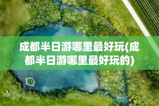 成都半日游哪里最好玩(成都半日游哪里最好玩的)