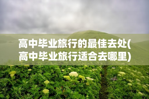 高中毕业旅行的最佳去处(高中毕业旅行适合去哪里)