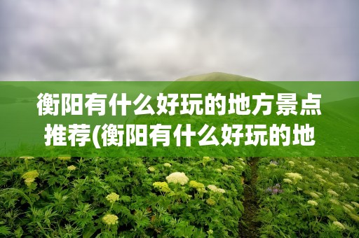 衡阳有什么好玩的地方景点推荐(衡阳有什么好玩的地方景点推荐免费)