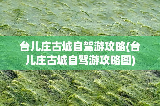 台儿庄古城自驾游攻略(台儿庄古城自驾游攻略图)