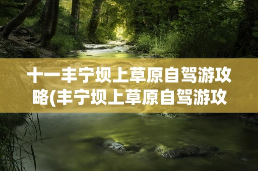 十一丰宁坝上草原自驾游攻略(丰宁坝上草原自驾游攻略2天)