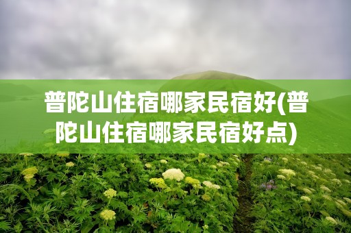 普陀山住宿哪家民宿好(普陀山住宿哪家民宿好点)