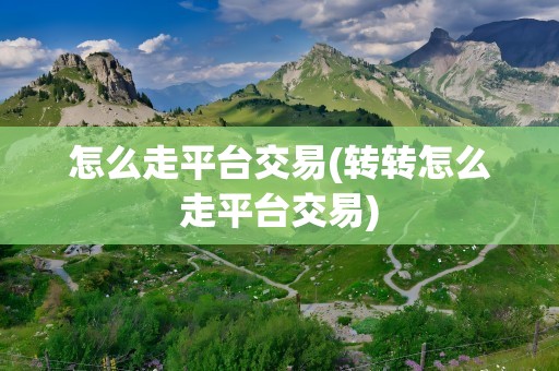 怎么走平台交易(转转怎么走平台交易)