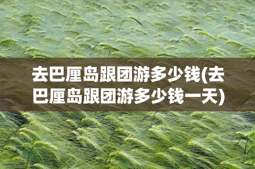 去巴厘岛跟团游多少钱(去巴厘岛跟团游多少钱一天)