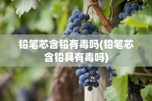 铅笔芯含铅有毒吗(铅笔芯含铅具有毒吗)