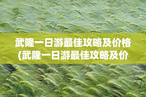 武隆一日游最佳攻略及价格(武隆一日游最佳攻略及价格表)