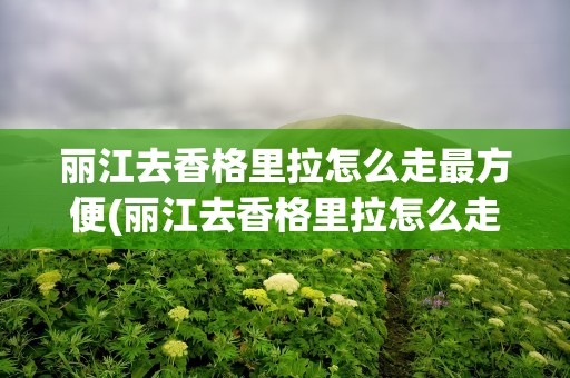 丽江去香格里拉怎么走最方便(丽江去香格里拉怎么走最方便呢)
