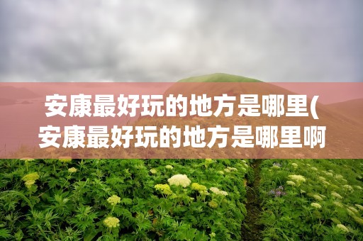 安康最好玩的地方是哪里(安康最好玩的地方是哪里啊)