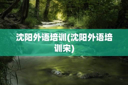 沈阳外语培训(沈阳外语培训宋)
