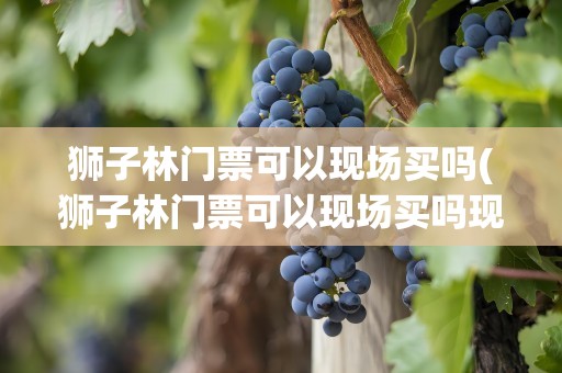 狮子林门票可以现场买吗(狮子林门票可以现场买吗现在)