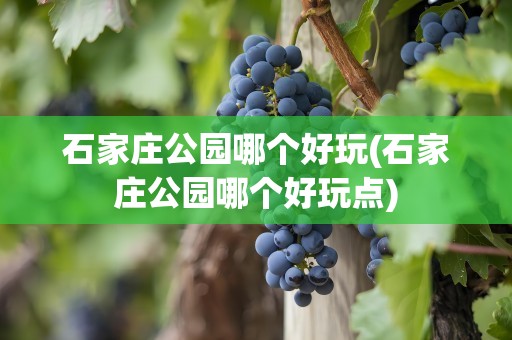 石家庄公园哪个好玩(石家庄公园哪个好玩点)