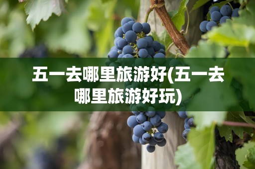 五一去哪里旅游好(五一去哪里旅游好玩)