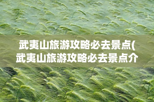 武夷山旅游攻略必去景点(武夷山旅游攻略必去景点介绍)
