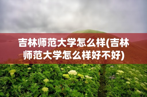 吉林师范大学怎么样(吉林师范大学怎么样好不好)