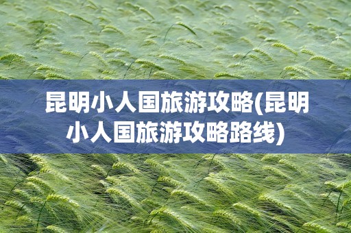 昆明小人国旅游攻略(昆明小人国旅游攻略路线)