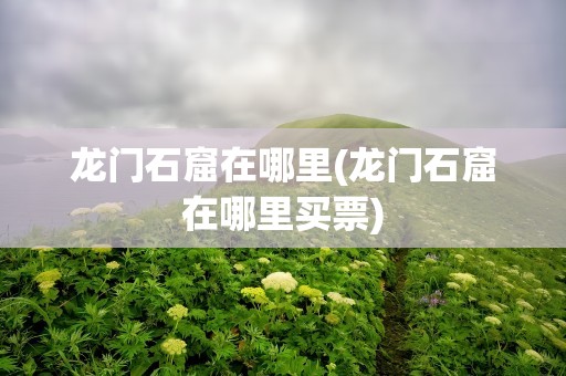 龙门石窟在哪里(龙门石窟在哪里买票)