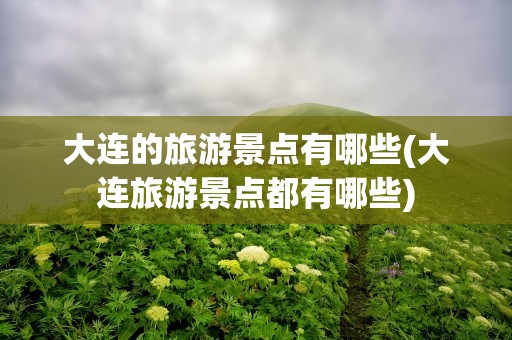 大连的旅游景点有哪些(大连旅游景点都有哪些)