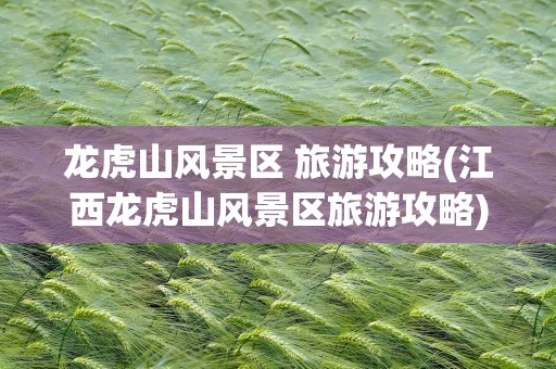 龙虎山风景区 旅游攻略(江西龙虎山风景区旅游攻略)