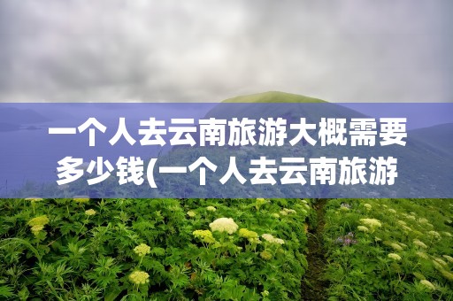 一个人去云南旅游大概需要多少钱(一个人去云南旅游大概需要多少钱费用)
