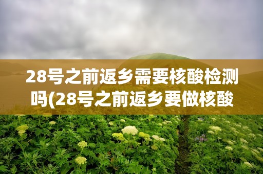 28号之前返乡需要核酸检测吗(28号之前返乡要做核酸检测吗)
