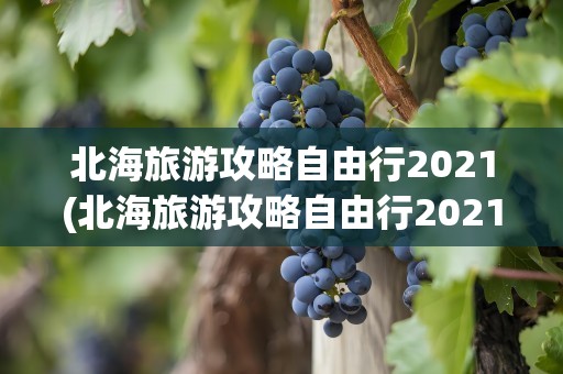 北海旅游攻略自由行2021(北海旅游攻略自由行2021年)