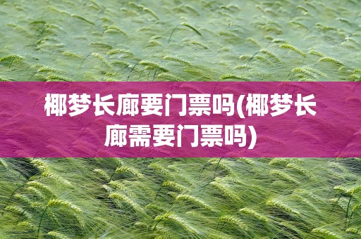椰梦长廊要门票吗(椰梦长廊需要门票吗)