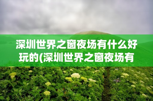 深圳世界之窗夜场有什么好玩的(深圳世界之窗夜场有什么好玩的吗)