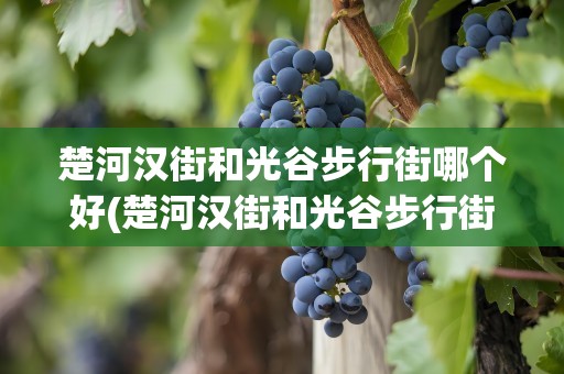 楚河汉街和光谷步行街哪个好(楚河汉街和光谷步行街哪个好玩)