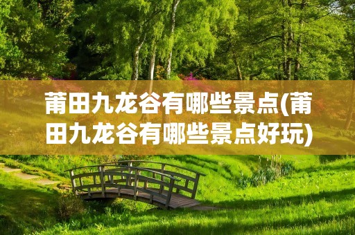 莆田九龙谷有哪些景点(莆田九龙谷有哪些景点好玩)