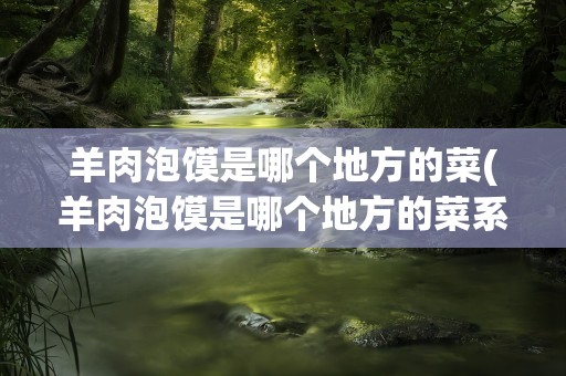 羊肉泡馍是哪个地方的菜(羊肉泡馍是哪个地方的菜系)