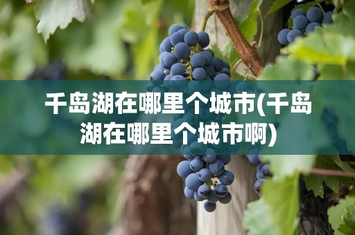 千岛湖在哪里个城市(千岛湖在哪里个城市啊)