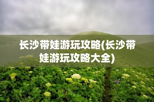 长沙带娃游玩攻略(长沙带娃游玩攻略大全)