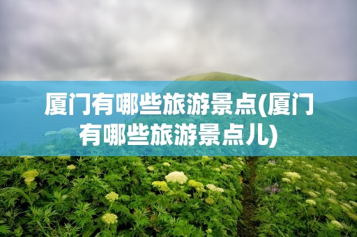 厦门有哪些旅游景点(厦门有哪些旅游景点儿)