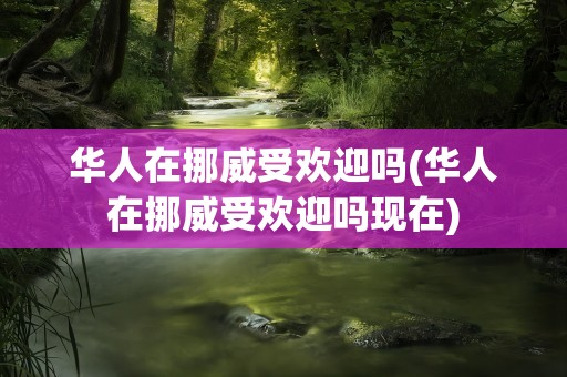 华人在挪威受欢迎吗(华人在挪威受欢迎吗现在)