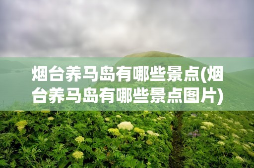 烟台养马岛有哪些景点(烟台养马岛有哪些景点图片)