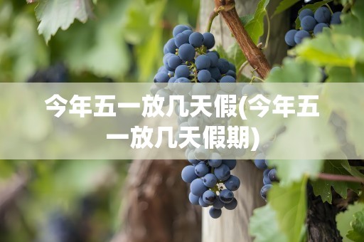 今年五一放几天假(今年五一放几天假期)