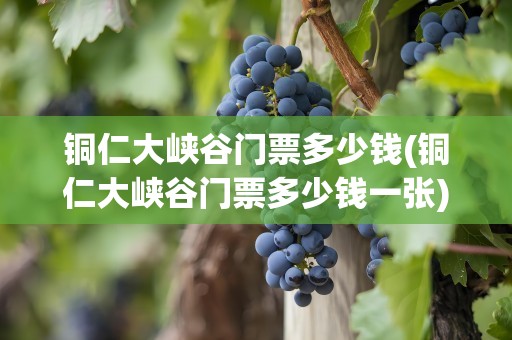 铜仁大峡谷门票多少钱(铜仁大峡谷门票多少钱一张)