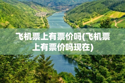 飞机票上有票价吗(飞机票上有票价吗现在)