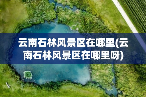 云南石林风景区在哪里(云南石林风景区在哪里呀)