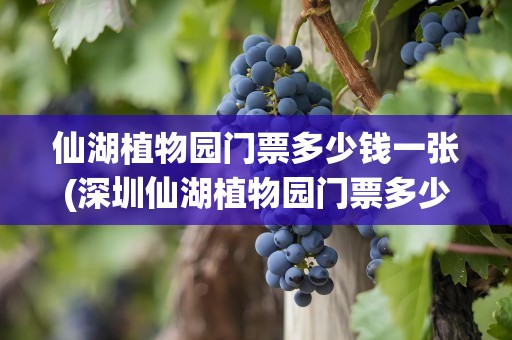 仙湖植物园门票多少钱一张(深圳仙湖植物园门票多少钱一张)
